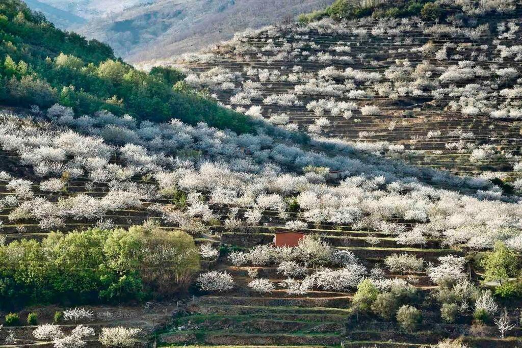 Apartamento Rural Se De Un Lugar El Torno Kültér fotó